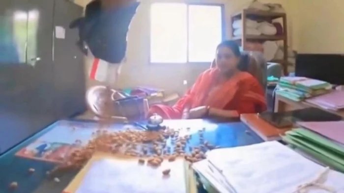 बादाम खाइए मैडम, याददाश्त बढ़ेगी
