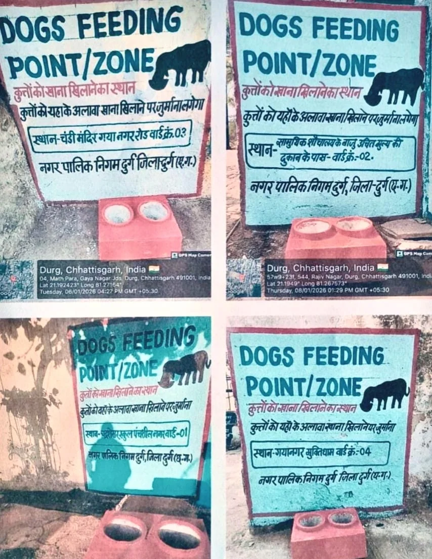 सुप्रीम कोर्ट के आदेश पर नगर निगम दुर्ग ने बनाए डॉग फीडिंग ज़ोन