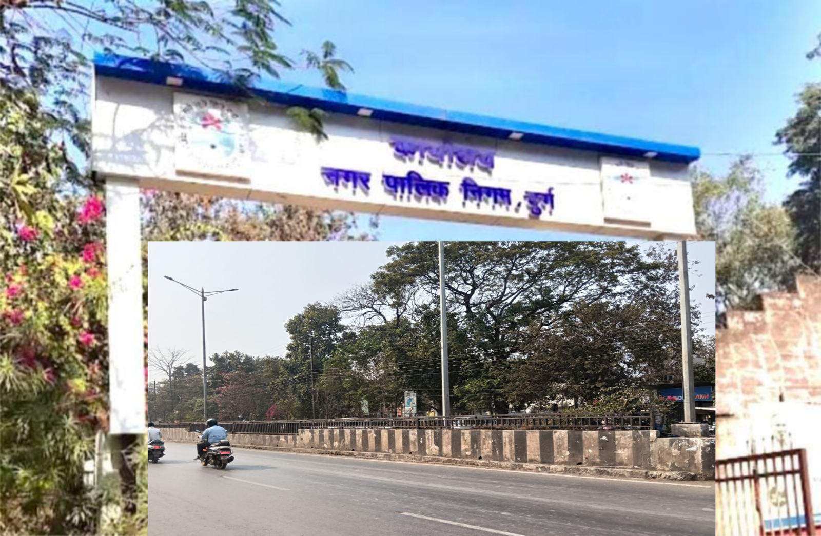 दुर्ग में सौंदर्यीकरण की पोल खोलते सूखते पौधे, जिम्मेदारी से बच रहे निगम और पीडब्ल्यूडी दुर्ग में सौंदर्यीकरण की पोल खोलते सूखते पौधे, जिम्मेदारी से बच रहे निगम और पीडब्ल्यूडी