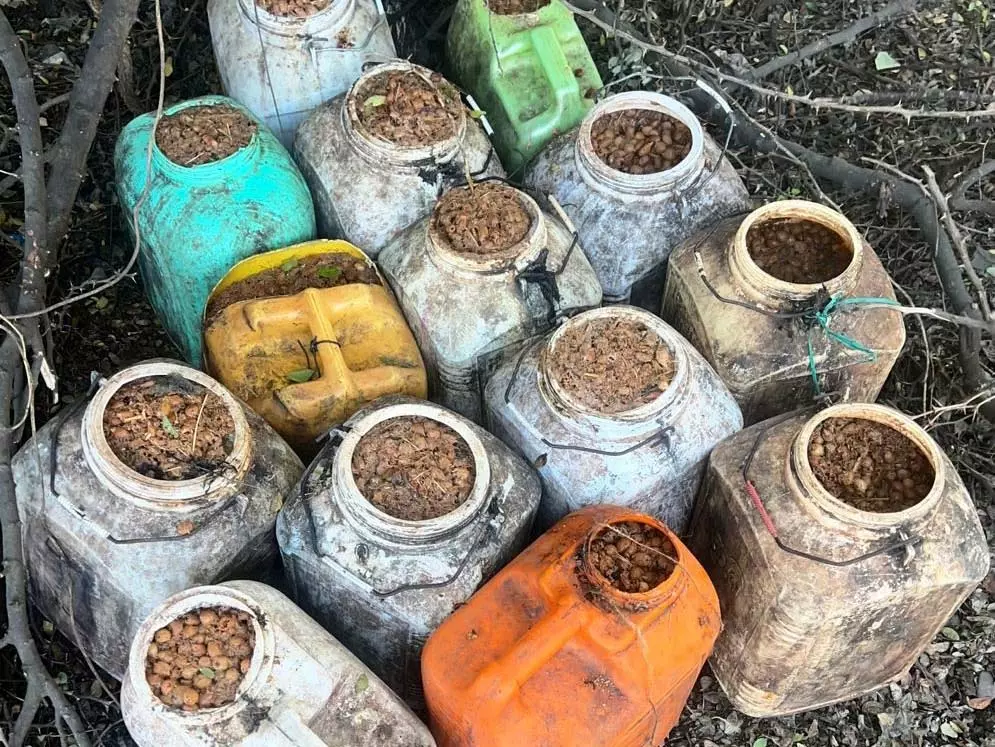 आबकारी विभाग की बड़ी कार्रवाई, 20 लीटर कच्ची महुआ शराब-लाहन जब्त