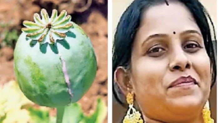 अफीम मामले में निलंबित ग्रामीण कृषि विस्तार अधिकारी बहाल, दुर्ग संभागायुक्त के निर्देश पर आदेश जारी